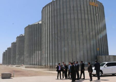بازدید معاون وزیر راه و شهرسازی و مدیرعامل راه‌آهن از بندرخشک پیشگامان