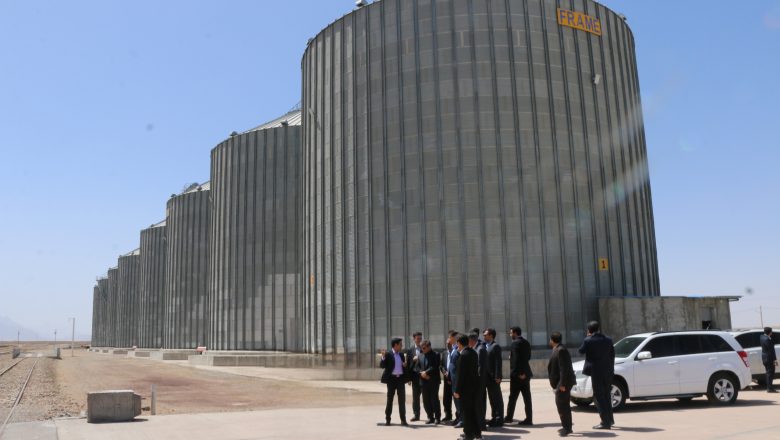 بازدید معاون وزیر راه و شهرسازی و مدیرعامل راه‌آهن از بندرخشک پیشگامان