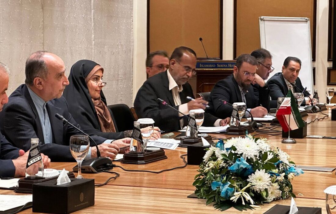 وزیر راه ایران با وزیران بازرگانی، مواصلات و راهآهن پاکستان دیدار کرد