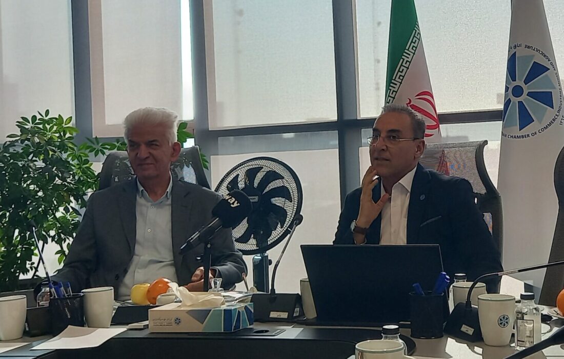 تأکید بر نوسازی ناوگان و تکمیل راهآهن چابهار و رشت برای احیای ترانزیت ایران