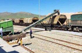 وارد شدن نخستین محموله گندم وارداتی کیفی سال ۱۴۰۴ به سمنان از طریق حمل و نقل ریلی